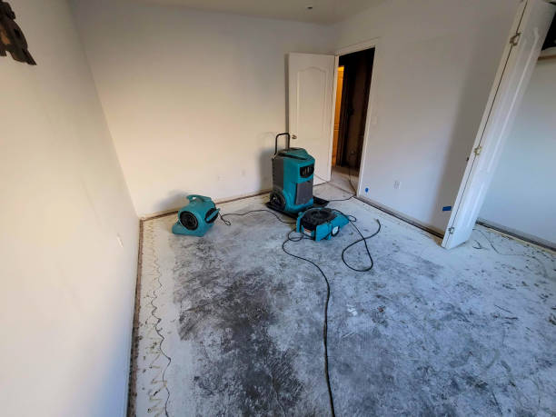 Best Ceiling water damage repair  in West New York, NJ